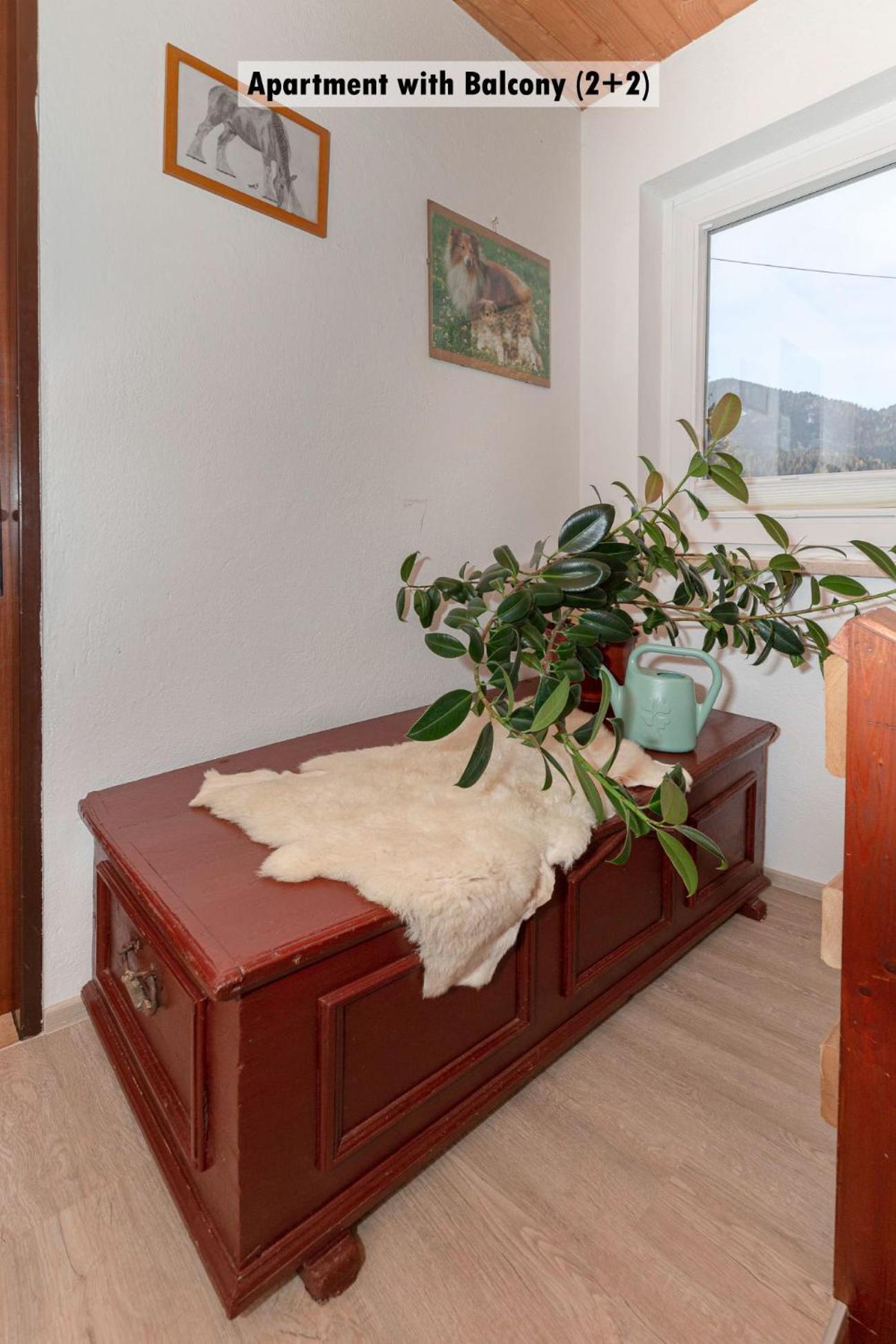 Apartments Farm House Uric 耶塞尼采 外观 照片